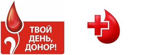 Тушеная капуста с яйцом картинки Тушеная капуста с яйцом картинки