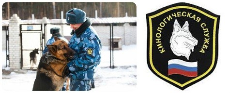 Как выбрать электробритву мужчине в подарок картинки Как выбрать электробритву мужчине в подарок картинки