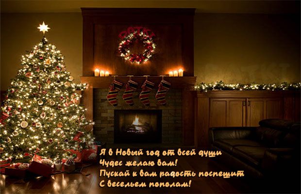 Красивые поздравления с Новым годом теще и тестю Год Кролика