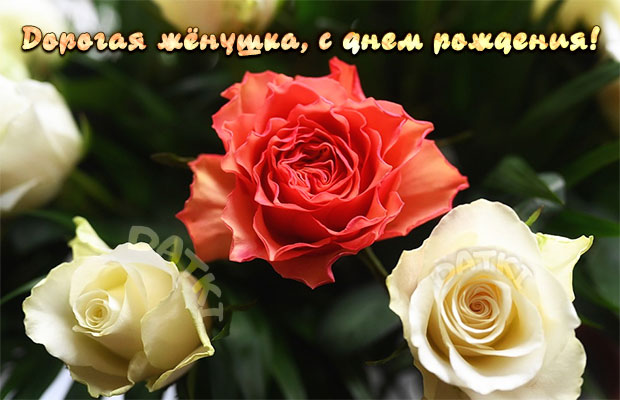 Поздравления с днем рождения жене друга в прозе kinotv