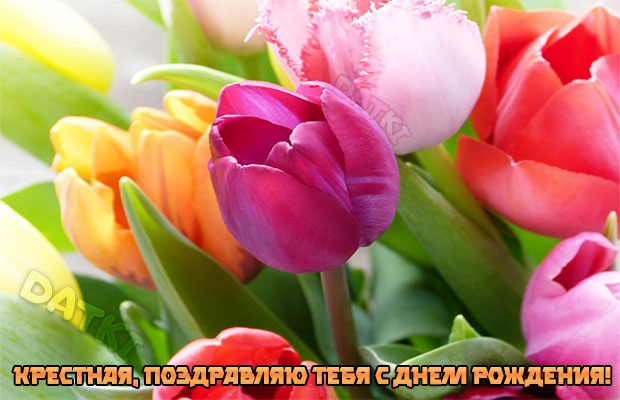 Букет разноцветных тюльпанов на день рождения любимой крестной