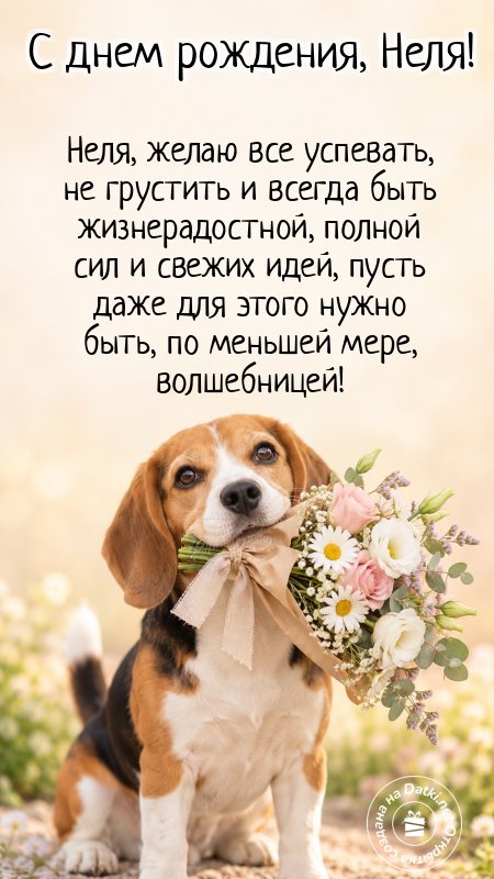 Картинка с днём рождения — веселья и радости